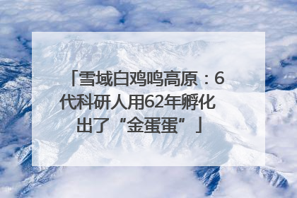 雪域白鸡鸣高原：6代科研人用62年孵化出了“金蛋蛋”